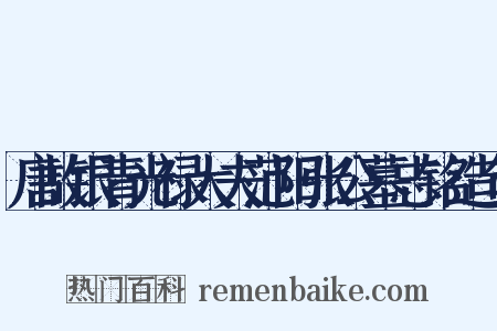 唐故银青光禄大夫范阳张公墓志铭造句是什么意思的图片